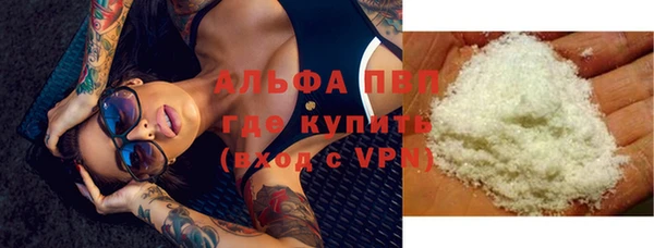 прущие грибы Зерноград