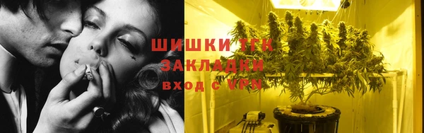 прущие грибы Зерноград