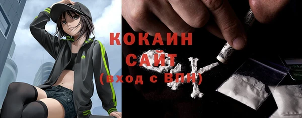 прущие грибы Зерноград