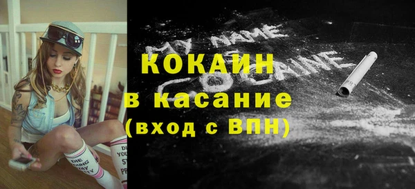 прущие грибы Зерноград