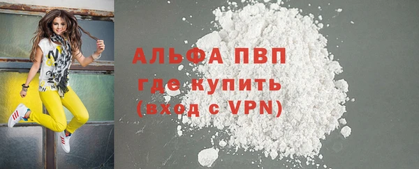 прущие грибы Зерноград