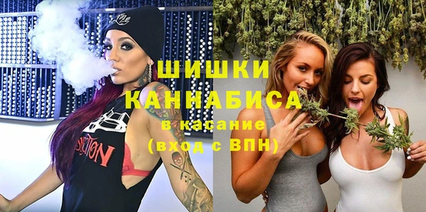 крисы Зеленодольск